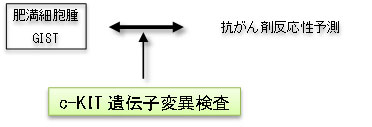 c-KIT遺伝子変異検査で抗がん剤反応性予測ができます