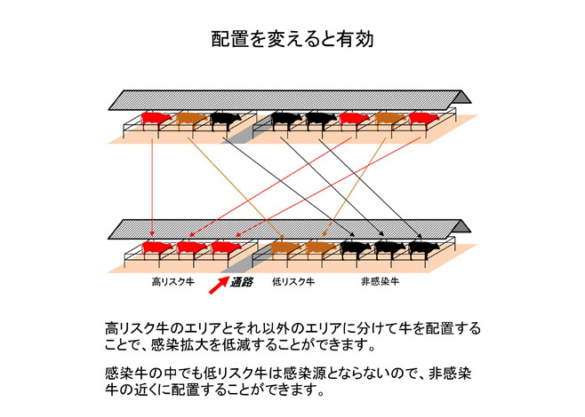 配置を変えると有効--牛白血病ウイルス遺伝子検査--