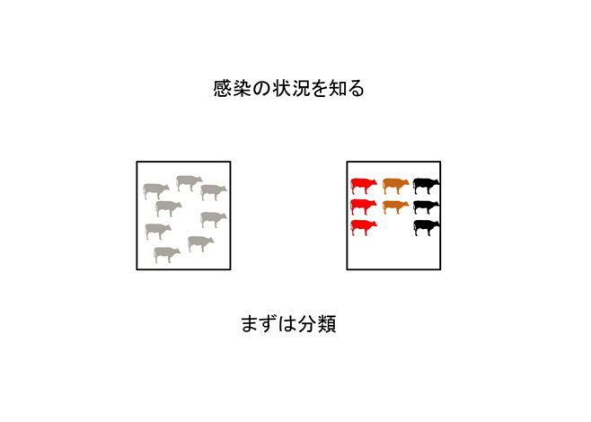 感染の状況を知る--牛白血病ウイルス遺伝子検査--