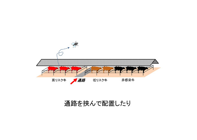 通路を挟んで配置--牛白血病ウイルス遺伝子検査--