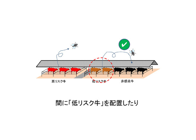 間に「低リスク牛」を配置--牛白血病ウイルス遺伝子検査--