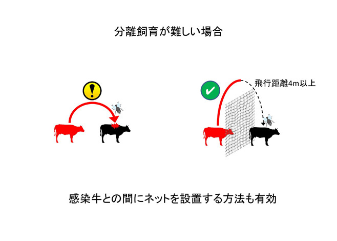 間にネットを設置--牛白血病ウイルス遺伝子検査--